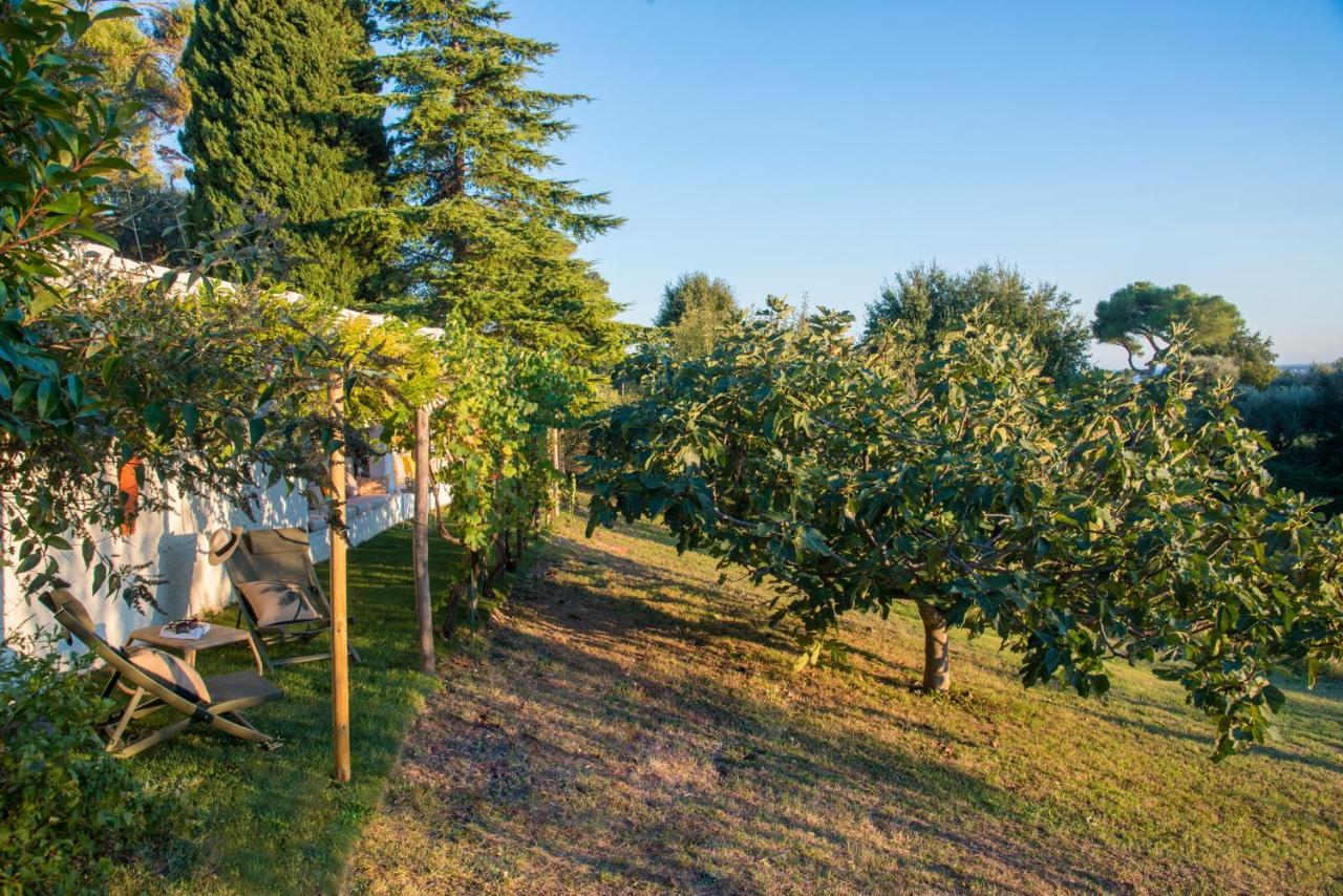 Bastide Les 3 Portes Saint-Paul-de-Vence Ngoại thất bức ảnh
